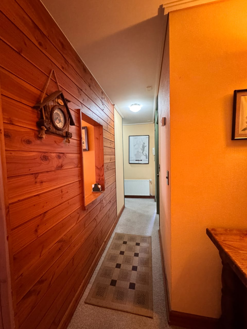 Departamento en pleno centro de Pucón - Foto 4