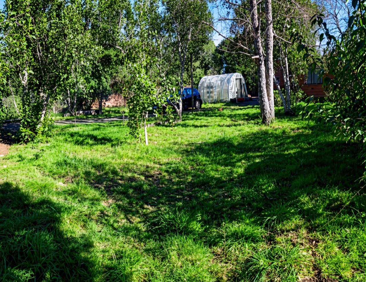 Villa Trancura, Pucón - Foto 3